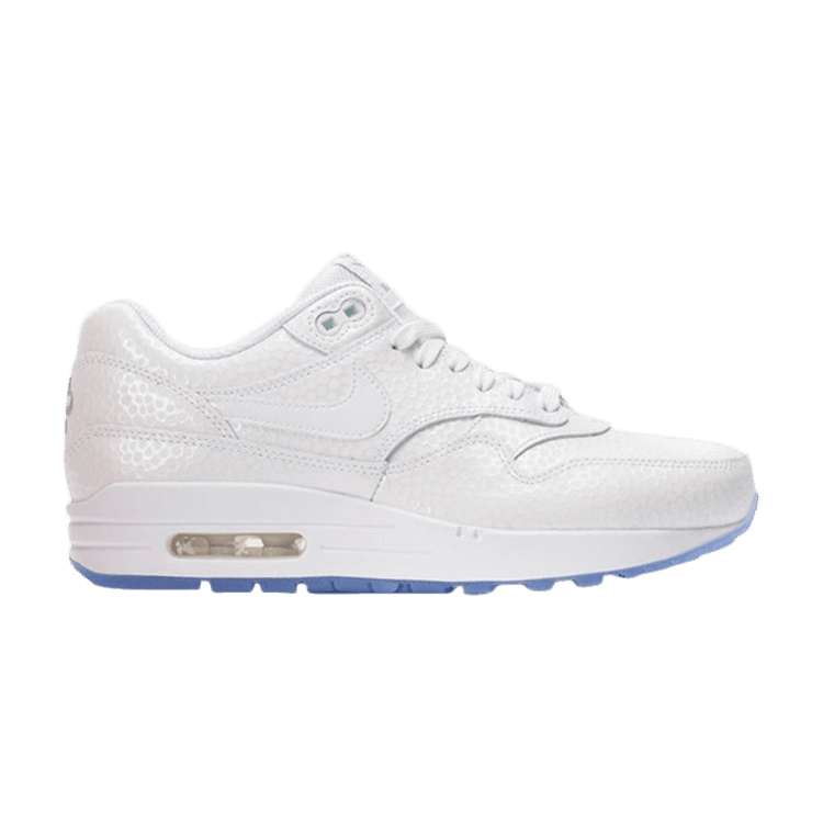 Wmns Air Max 1 Premium 'Ice Pack'